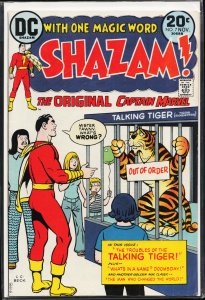 Shazam! #7 (1973) Captain Marvel / Shazam!