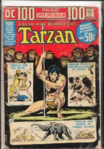 DC 100-Page Super Spectacular #19 (1973)