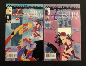 Elektra: Glimpse & Echo #1-4 (2002) Marvel Knights VF/NM