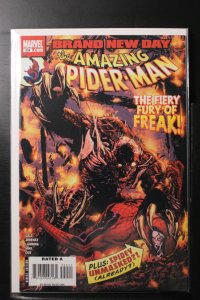 The Amazing Spider-Man #554 (2008)