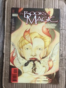 The Books of Magic #21 (1996)