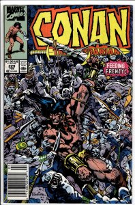 Conan the Barbarian #229 (1990) Conan