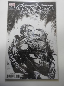 Ghost Rider: Vengeance Forever #1 Variant Edition