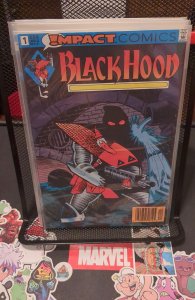 The Black Hood #1 (1991)