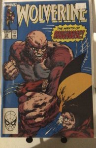 Wolverine #18  (1991)
