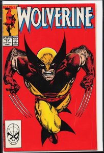 Wolverine #17 (1989) Wolverine