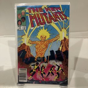 The New Mutants #12 Marvel 1984 - Magma Appearance
