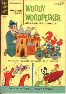 WOODY WOODPECKER 75 FINE ADVENTURE COMICS COMICS BOOK