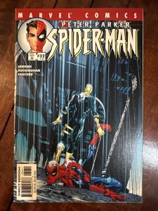 Peter Parker: Spider-Man #32 (2001)