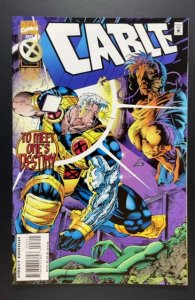 Cable #23 (1995)