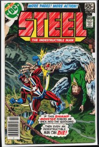 Steel, the Indestructible Man #5 (1978) Steel