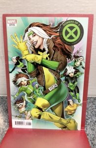 Powers of X #4 Land Cover (2019)