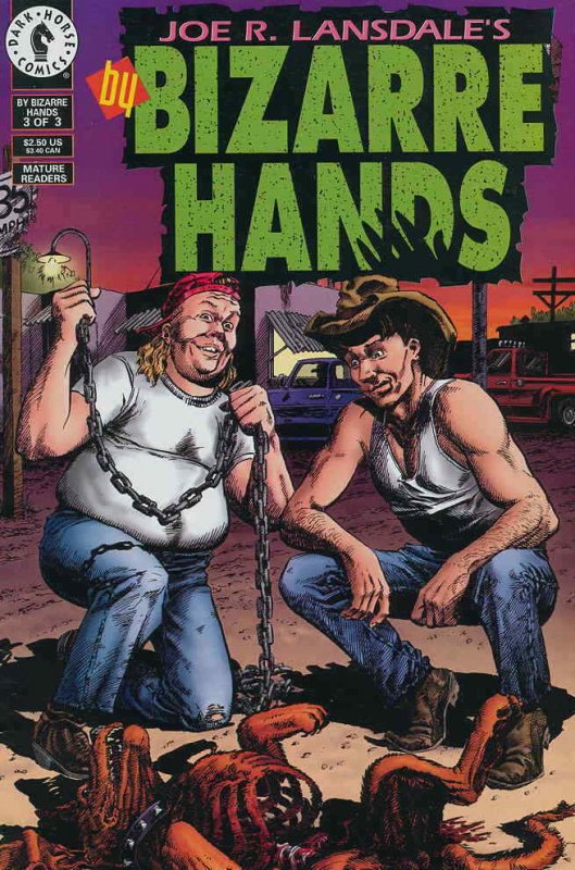 By Bizarre Hands #3 VF/NM; Dark Horse | Joe R. Lansdale - we combine shipping 