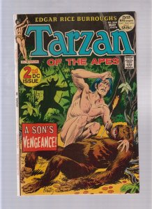 Tarzan #208 - Joe Kubert Cover Art! (6.0) 1972