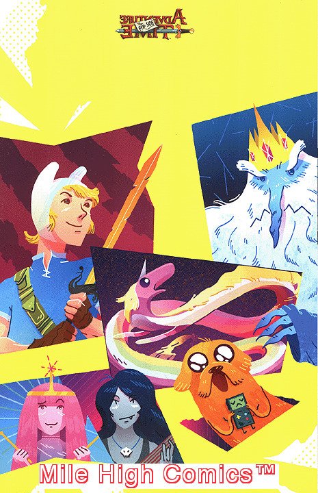 ADVENTURE TIME: FLIP SIDE (2013 Series) #2 D Near Mint Comics Book