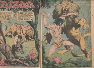 Tarzan(DC)  # 230 The Original 100 pger