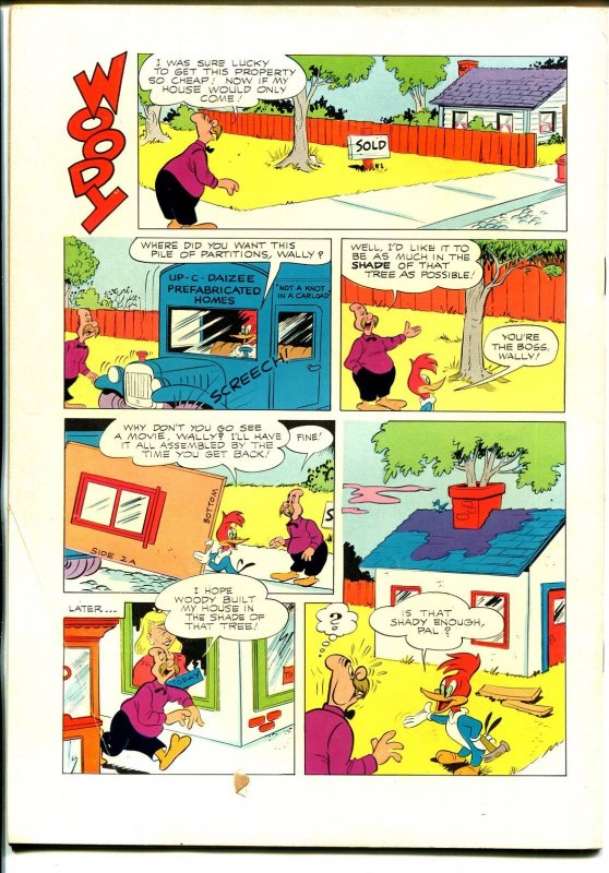 Woody Woodpecker #18  1953 - Dell  -VG+ - Comic Book