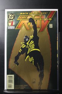 The Ray #1 Variant Cover (1994)
