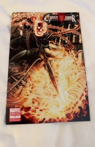 Ghost Rider #1 Arturo Lozzi Incentive Variant Cover (2011) NM