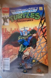 Teenage Mutant Ninja Turtles Adventures #21 (1991)