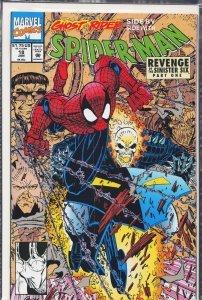 Spider-Man #18 (1992) Spider-Man