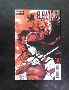 Elektra Black White and Blood #1C  Marvel Comics 2022 NM  Andolfo Variant