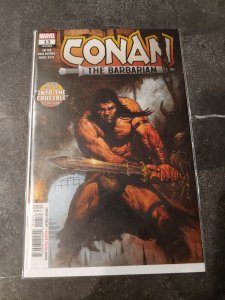 Conan the Barbarian #13 (2020)