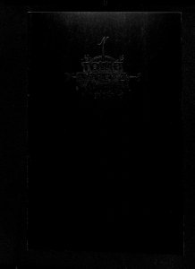 Tomb Raider (1999) #21