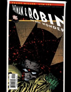 All Star Batman & Robin, The Boy Wonder #2 Variant Cover (2005) Batman and Robin
