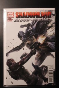 Shadowland: Blood on the Streets #2 (2010)