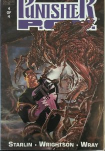 The Punisher: P.O.V. (1991) #1 #2 #3 #4 (full set lot)