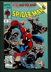Spiderman #29  ( 7.5 VFN- )  December 1992