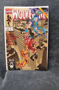 Wolverine #42 Marvel Comics Comic Book not-specified Comic Book