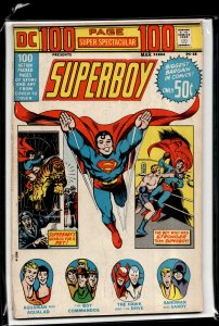 DC 100-Page Super Spectacular #15 (1973)