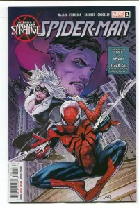 DEATH OF DOCTOR STRANGE SPIDER MAN (2021 MARVEL) #1 CVR A GREG LAND