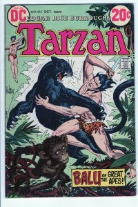 TARZAN #213 - 5.5 - OW-W - Kubert