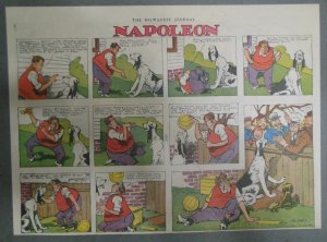 Napoleon the Dog Sunday by Clifford McBride from 11/24/1940 Size: 11 x 15 inches