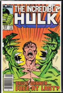 The Incredible Hulk #315 (1986) Hulk