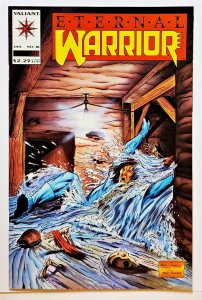 Eternal Warrior #18 (Jan 1994, Valiant) 9.0 VF/NM  