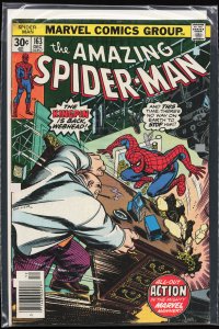 The Amazing Spider-Man #163 (1976) Spider-Man