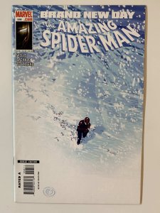 The Amazing Spider-Man #556 NM (2008)