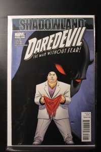 Daredevil #510 Direct Edition (2010)