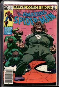 The Amazing Spider-Man #232 (1982) Spider-Man