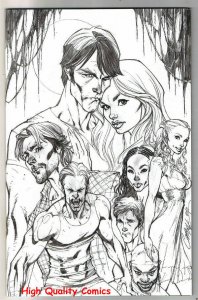 TRUE BLOOD #1, NM, Vampire, Retailer Incentive Variant, 2010, more in store