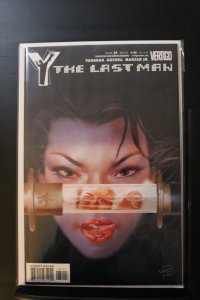 Y: The Last Man #31 (2005)