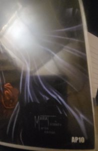 Do You Pooh? Battle Damaged AP10