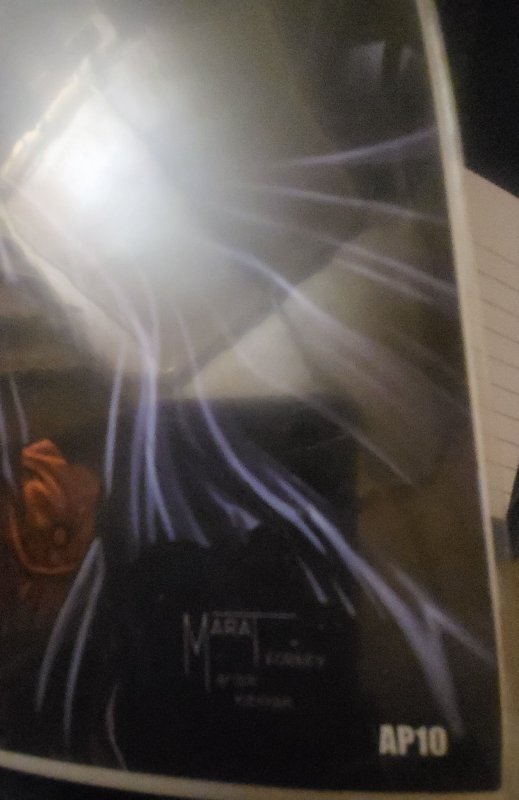 Do You Pooh? Battle Damaged AP10