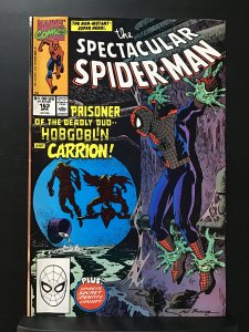 The Spectacular Spider-Man #163 Direct Edition (1990)