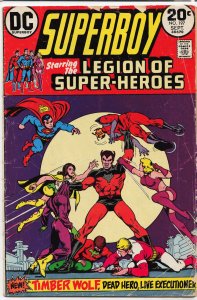 Superboy #197 (1973)