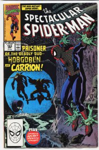 The Spectacular Spider-Man #163 (1990) Spider-Man